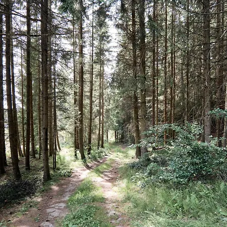 بيت للعطل Auszeit Am Kamp - Rametsteiner *